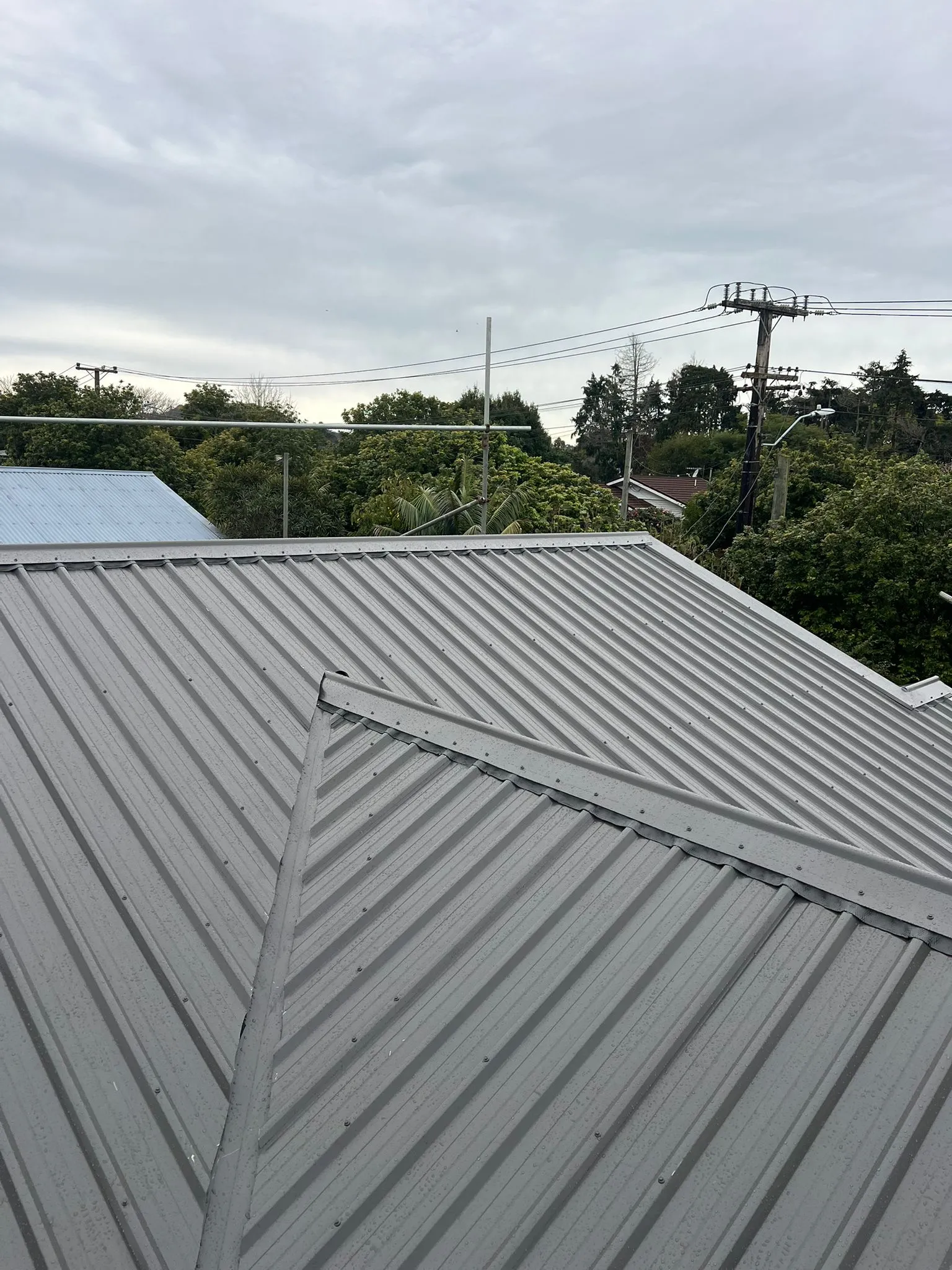 Roof Replacement