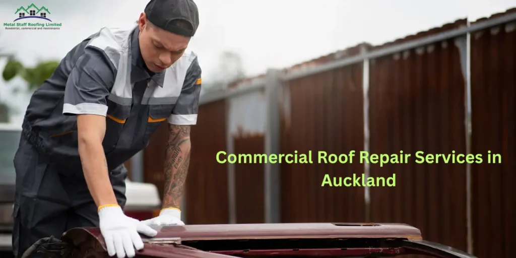 Why Commercial Roof Repair Services in Auckland Are Essential for Business Owners
